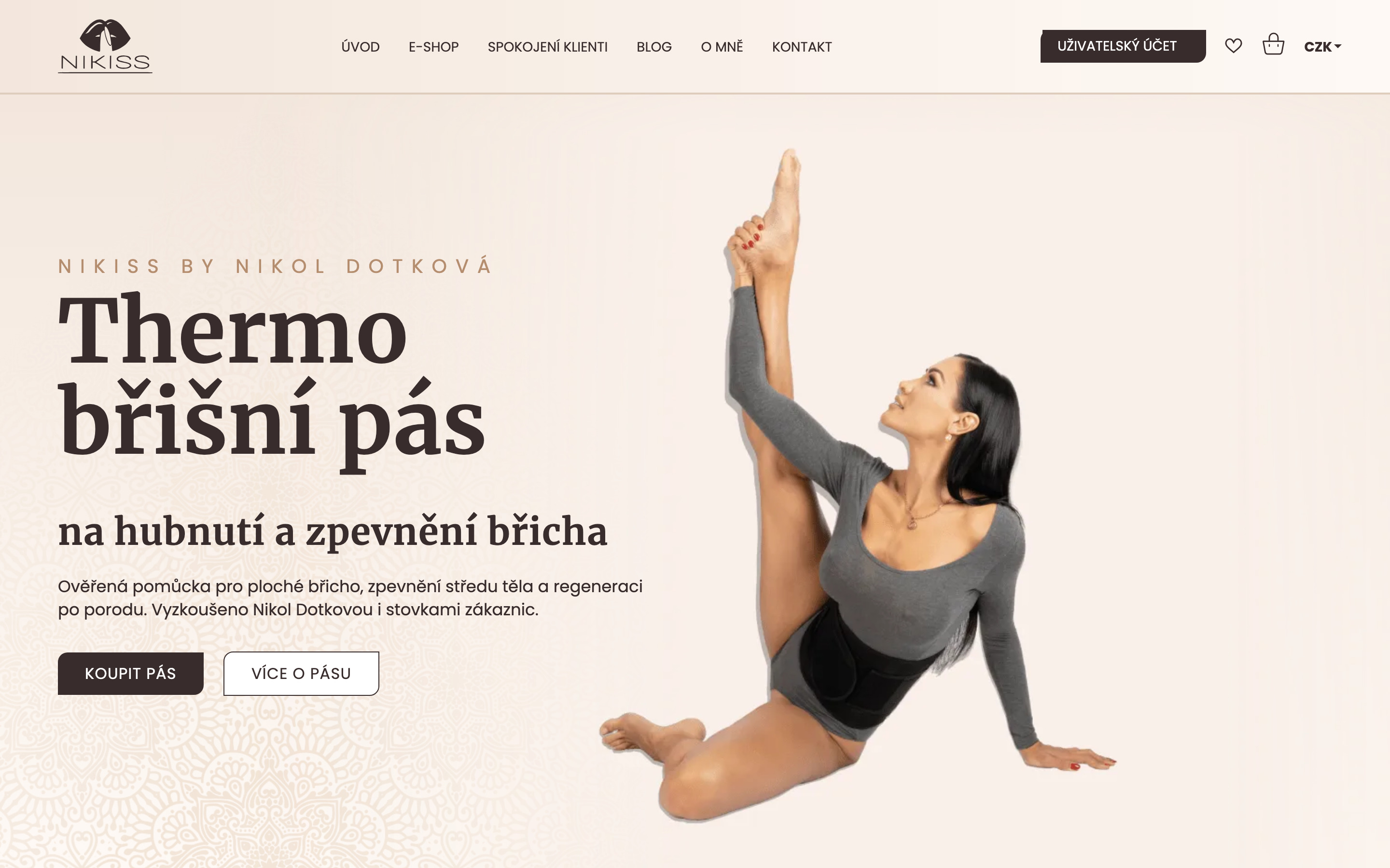 Screenshot první obrazovky homepage dotkova.cz v xl viewportu